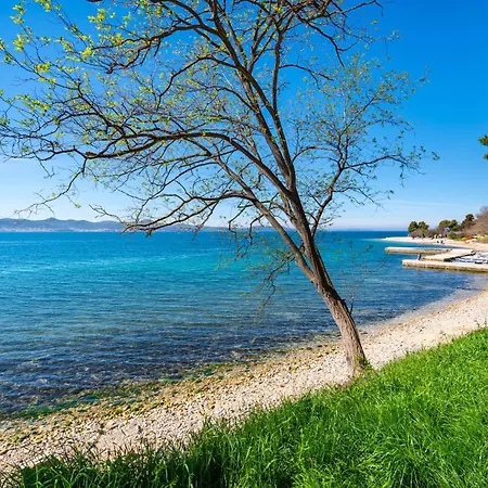 Kolovare Garden Oasis - First Row By Sea Zadar