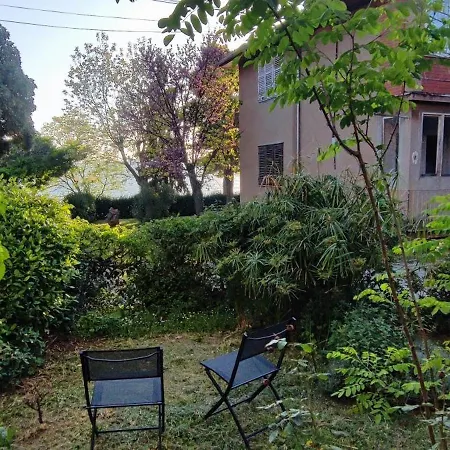 Kolovare Garden Oasis - First Row By Sea Apartment Zadar